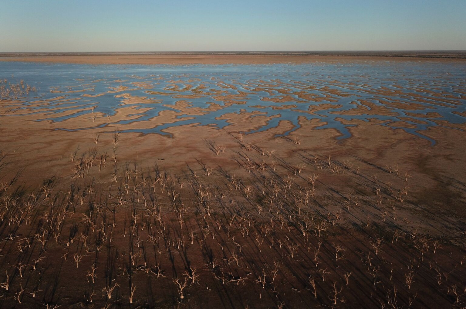 The mighty Murray - Environmental Justice Australia
