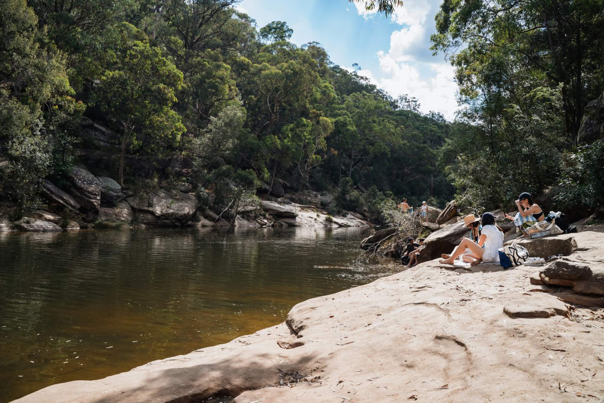 The mighty Murray - Environmental Justice Australia