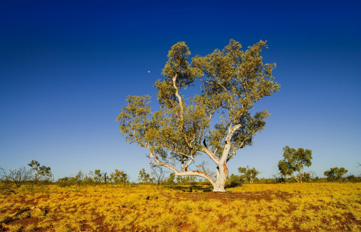 The detail: what’s in Australia’s new environment laws? - Environmental ...